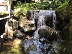 -牛背梁国家森林公园
