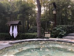 -天目湖涵田半山温泉
