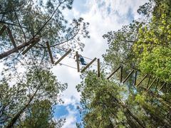 -梦幻奥陶纪景区