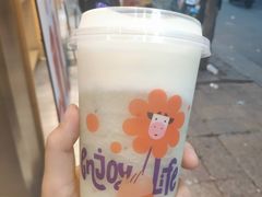 -一只酸奶牛(东方广场店)