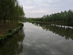 -东郊湿地公园