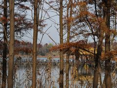 -溱湖国家湿地公园