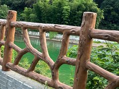 -惠山国家森林公园
