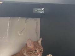 -宠颐生宠物医院·骨外科·犬猫全科诊疗中心(池州店)