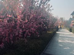 -翰园碑林