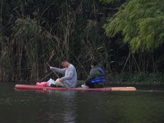 -新江湾城公园