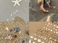 -巧克力渔家.小船海鲜胶东菜(万平口店)