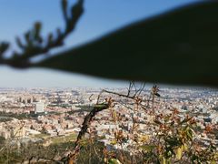 -草庵摩尼教遗址公园