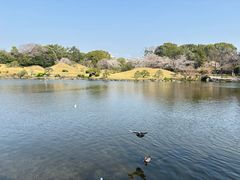 -水前寺成趣园