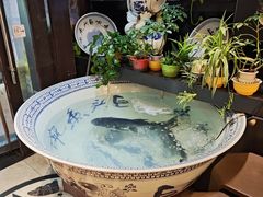-南京金牛湖巨碗鱼头