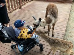 -西安秦岭野生动物园