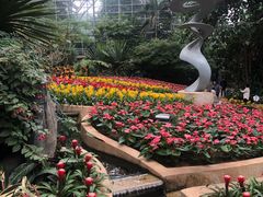 -南山植物园