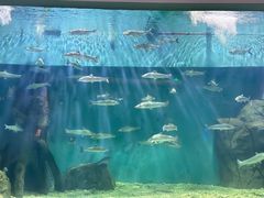 -上海长江河口科技馆