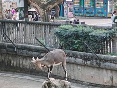 -成都动物园
