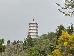 -深圳国际园林花卉博览园