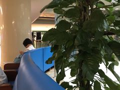 -中国人民解放军总医院(301医院)