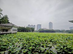 -荔湾湖公园