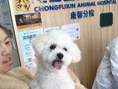 -宠福鑫康馨动物医院·骨科·眼科