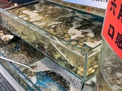 -仙螺岛海鲜自助餐厅(总店)