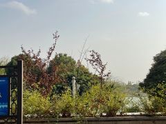 -仙林中心(地铁站)