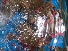 -七宝蔬菜农副产品综合交易市场-停车场