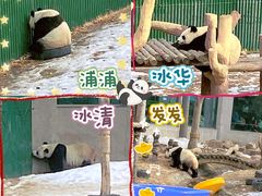 -沈阳森林动物园