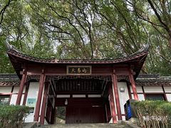 -上海佘山国家森林公园天马山园