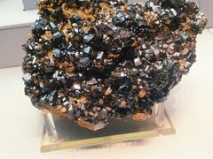 -湖南省地质博物馆