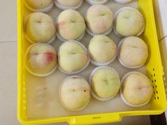 -老袁家蜜桃农场·阳山水蜜桃