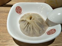 -老班长手工灌汤包(望京华彩店)