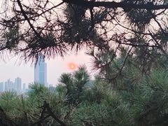 -信号山公园
