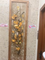 -芳朵美容养生SPA