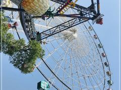 -洋湖国家湿地公园