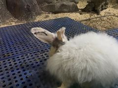 -苏州海洋馆