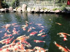 -湖鲜楼