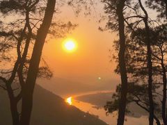 -铁山坪森林公园