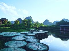 -靖西鹅泉风景区