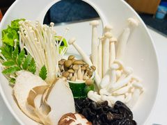 -洪氏嗨捞·猪肚鸡火锅(阳光天地店)