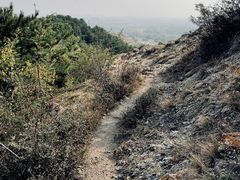 -乌素图国家森林公园