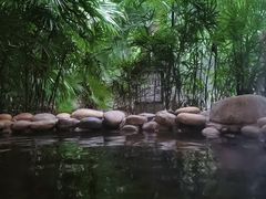 -融汇温泉
