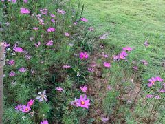 -重庆雨台山风景区
