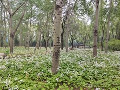 -森林公园(尖草坪区)