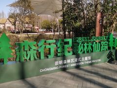-东平国家森林公园