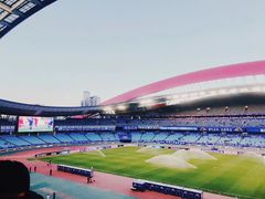 -南京奥林匹克体育中心-体育馆