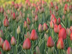 -长春公园(普阳街道)