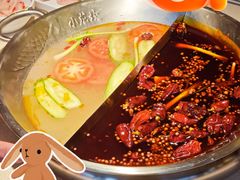-小龙坎火锅(春熙太古里店)
