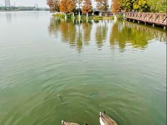 -海珠湖公园