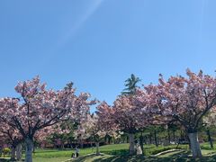 -悦海公园