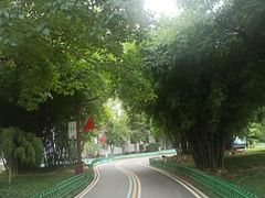 -堤角公园