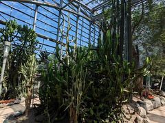 -南山植物园